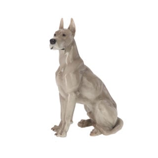Nymphenburg Great Dane Dog