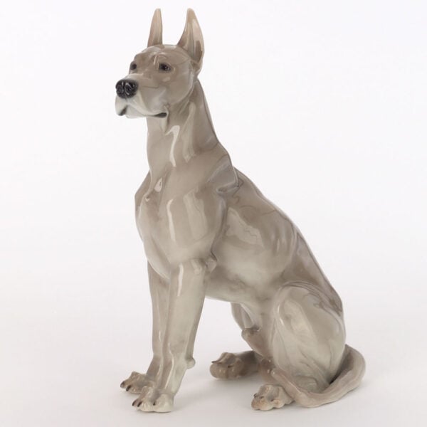 Nymphenburg Great Dane Dog Close Up