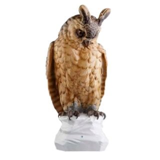 Nymphenburg Great Horned Owl Painted