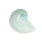 Nymphenburg Moon Snail Bowl Celadon Large