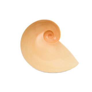 Nymphenburg Moon Snail Bowl Shell Pink Large