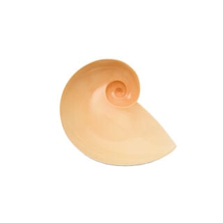 Nymphenburg Moon Snail Bowl Shell Pink Small