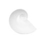 Nymphenburg Moon Snail Bowl White Large