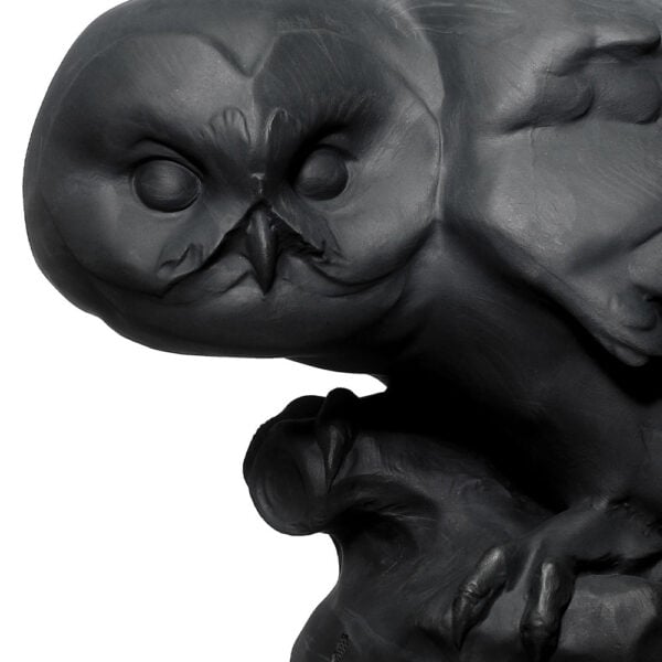 Nymphenburg Owl in Black Bisque Close Up