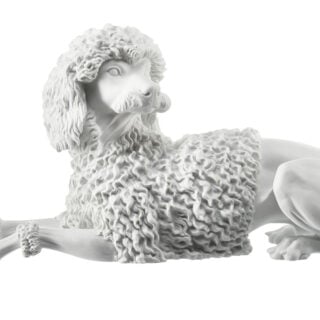 Nymphenburg Poodle Dog Figurine Close Up