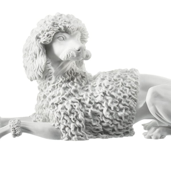 Nymphenburg Poodle Dog Figurine Close Up