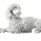 Nymphenburg Poodle Dog Figurine Close Up