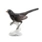 Nymphenburg Porcelain Blackbird Figurine Painted