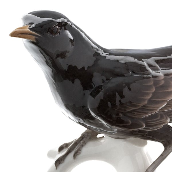 Nymphenburg Porcelain Blackbird Figurine Painted Close Up