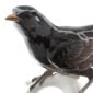 Nymphenburg Porcelain Blackbird Figurine Painted Close Up