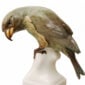 Nymphenburg Porcelain Crossbill Bird Figurine Painted Close Up