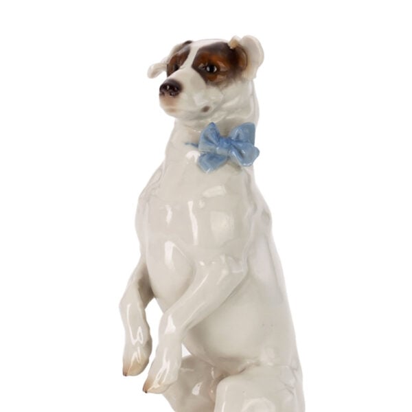 Nymphenburg Porcelain Fox Terrier Close Up