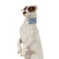 Nymphenburg Porcelain Fox Terrier Close Up