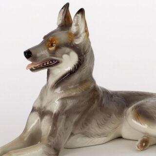 Nymphenburg Porcelain German Shepherd Close Up