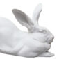 Nymphenburg Porcelain Hare Lying White Bisque Close Up