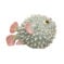Nymphenburg Porcelain Hedgehog Fish Green