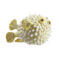 Nymphenburg Porcelain Hedgehog Fish Yellow