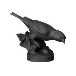 Nymphenburg Porcelain Linnet Bird in Black Bisque