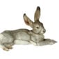 Nymphenburg Porcelain Lying Hare Painted Close Up