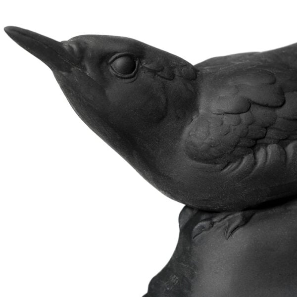Nymphenburg Porcelain Nuthatch Bird in Black Bisque Detail View