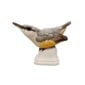 Nymphenburg Porcelain Nuthatch Bird Painted