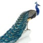 Nymphenburg Porcelain Peacock Painted Close Up