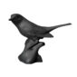 Nymphenburg Robin Bird Black Bisque