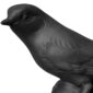 Nymphenburg Robin Bird Black Bisque Detail View