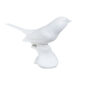 Nymphenburg Robin Bird White Bisque