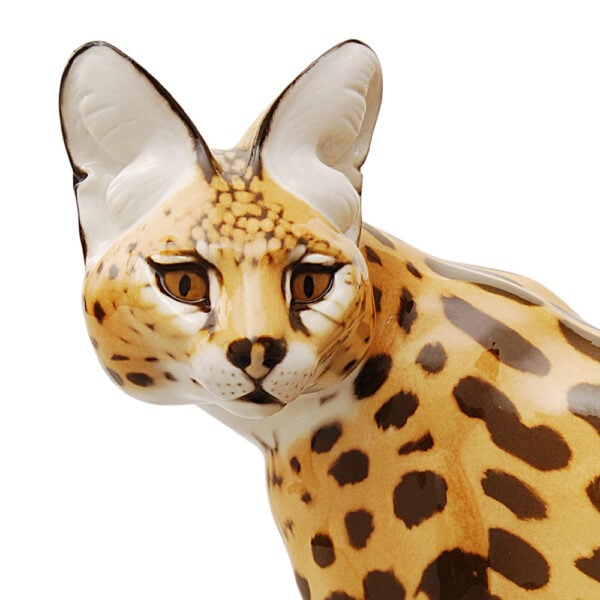 Nymphenburg Serval Painted Close Up