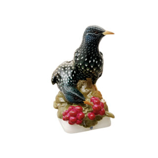 Nymphenburg Starling Birds Painted