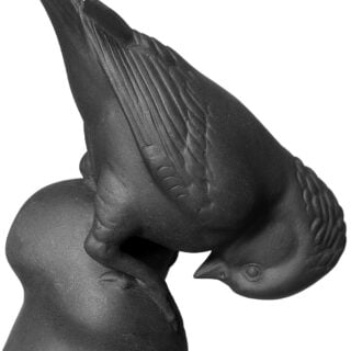 Nymphenburg Titmouse Bird Black Bisque Detail View Nymphenburg Titmouse Bird Black Bisque Detail View
