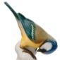 Nymphenburg Titmouse Bird Painted Close Up