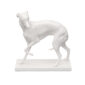 Nymphenburg Whippet Dog Ivory