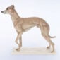 Nymphenburg Whippet Dog Painted Close Up
