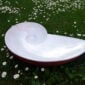 Nymphenburg Shell Bird Bath