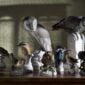 Nymphenburg Birds
