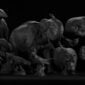 Nymphenburg Black Bisque Porcelain Animals