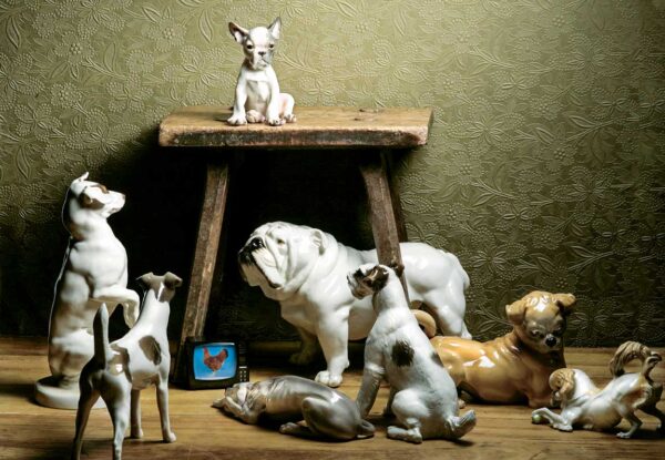 Nymphenburg Painted Dog FIgurines Nymphenburg Painted Dog FIgurines