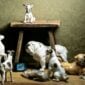 Nymphenburg Painted Dog FIgurines
