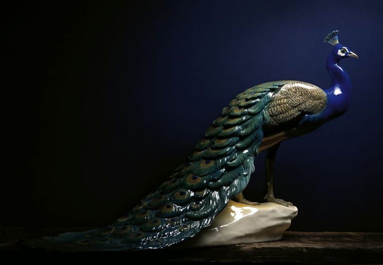 Nymphenburg Porcelain Peacock Painted-5181