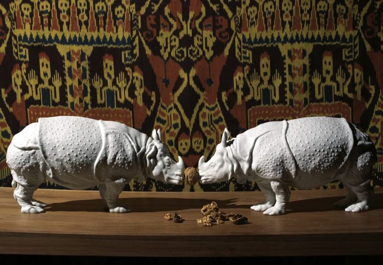 Nymphenburg Rhinoceros