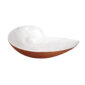 Nymphenburg Shell Bird Bath