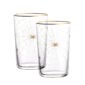 Lobmeyr Tumbler with Spider's Web at Kneen & Co. Luxury Glasses