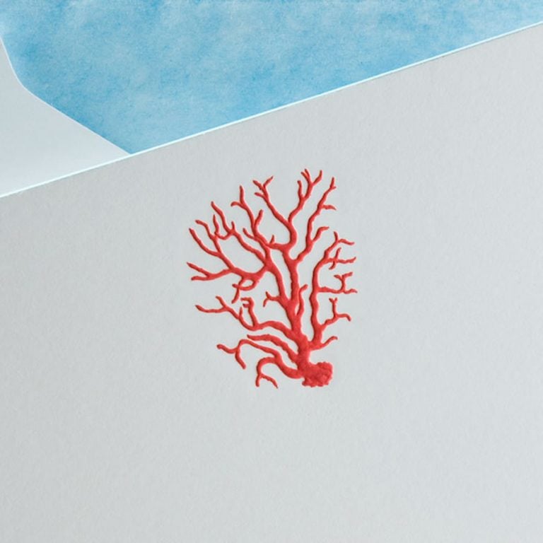 The Printery Coral Boxed Note Cards The Printery Coral Boxed Note Cards