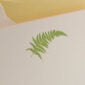 The Printery Fern Boxed Note Cards
