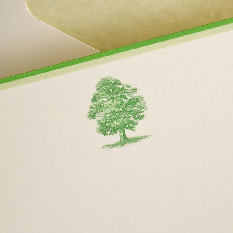 The Printery Oak Tree Boxed Note Cards The Printery Oak Tree Boxed Note Cards
