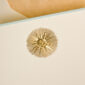 The Printery Sunburst Note CArds