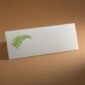 The Printery Fern Place Cards