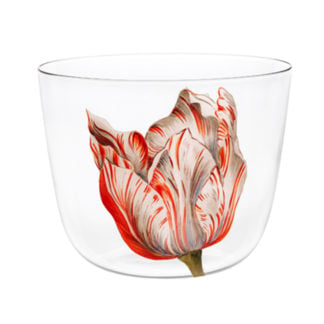 Lobmeyr Alpha Tulipmania Water Tumbler no. 4